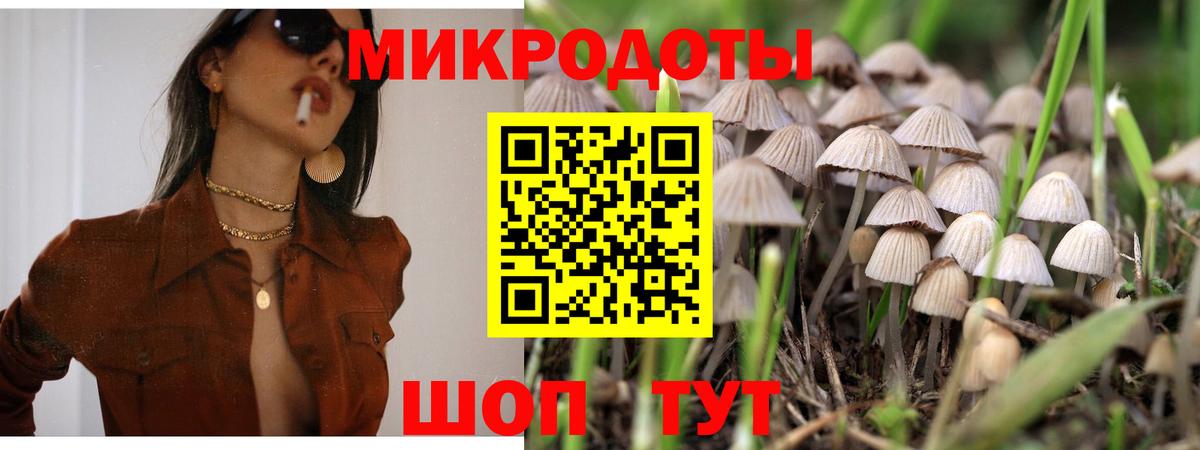 Железногорск  Псилоцибиновые грибы прущие грибы  Псилоцибиновые грибы GOLDEN TEACHER  Вход с VPN 